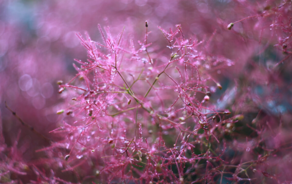 ShutterVision Studio - Image 4